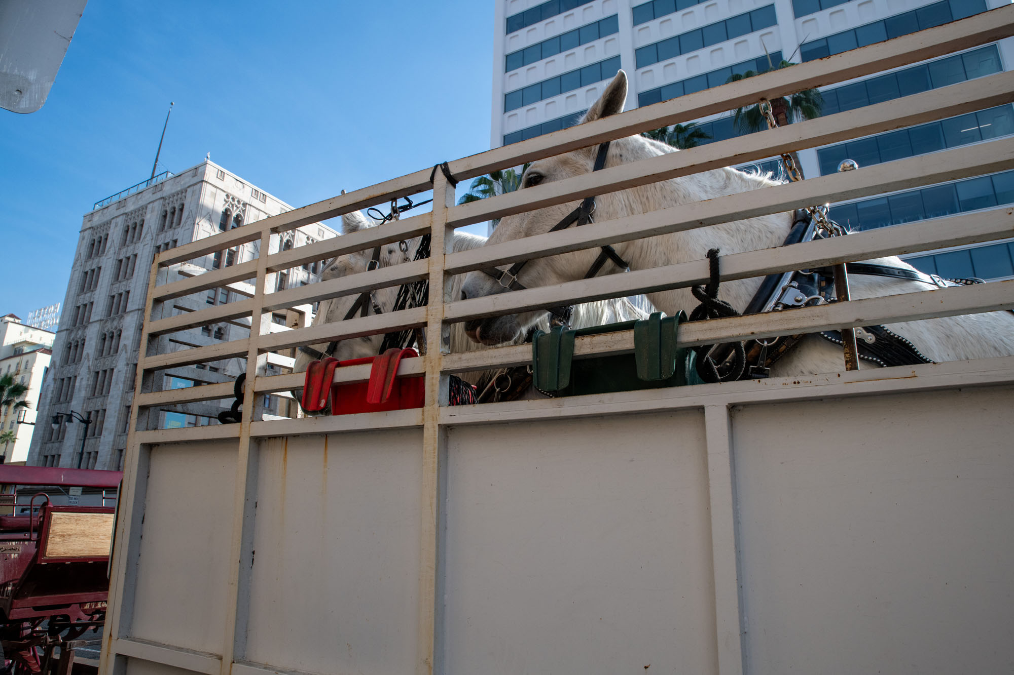 The 2025 Hollywood Christmas Parade