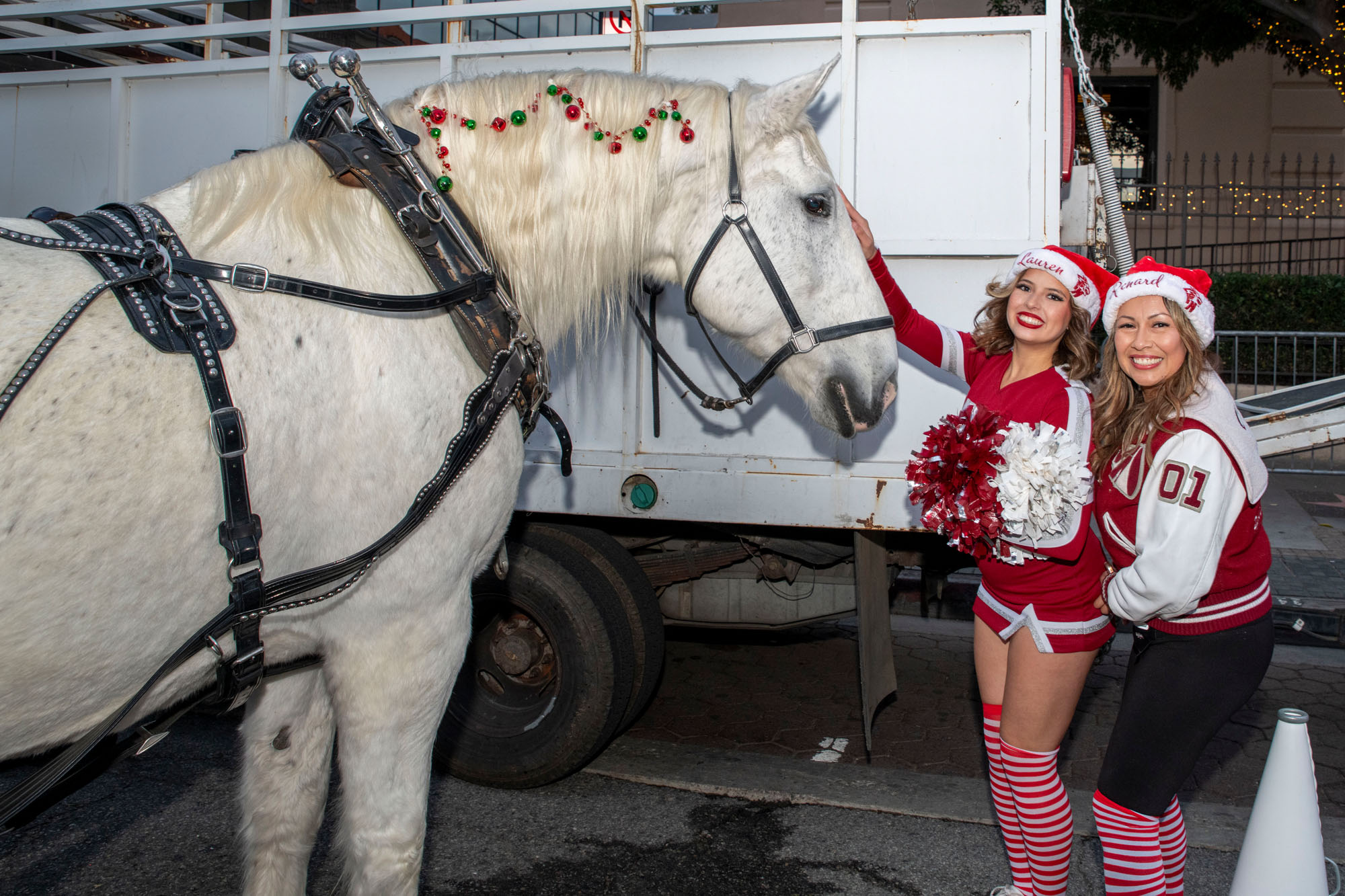 The 2025 Hollywood Christmas Parade