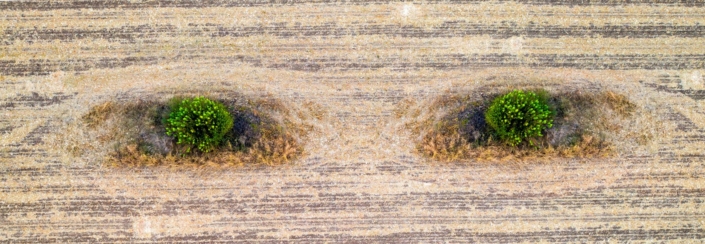 Earth Practices Seen From Alien Eyes